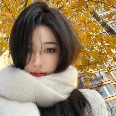 认识狗狗